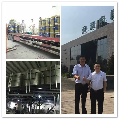水蜜桃视频在线免费化工--长春盈润蜜桃AV免费进入入口厂
